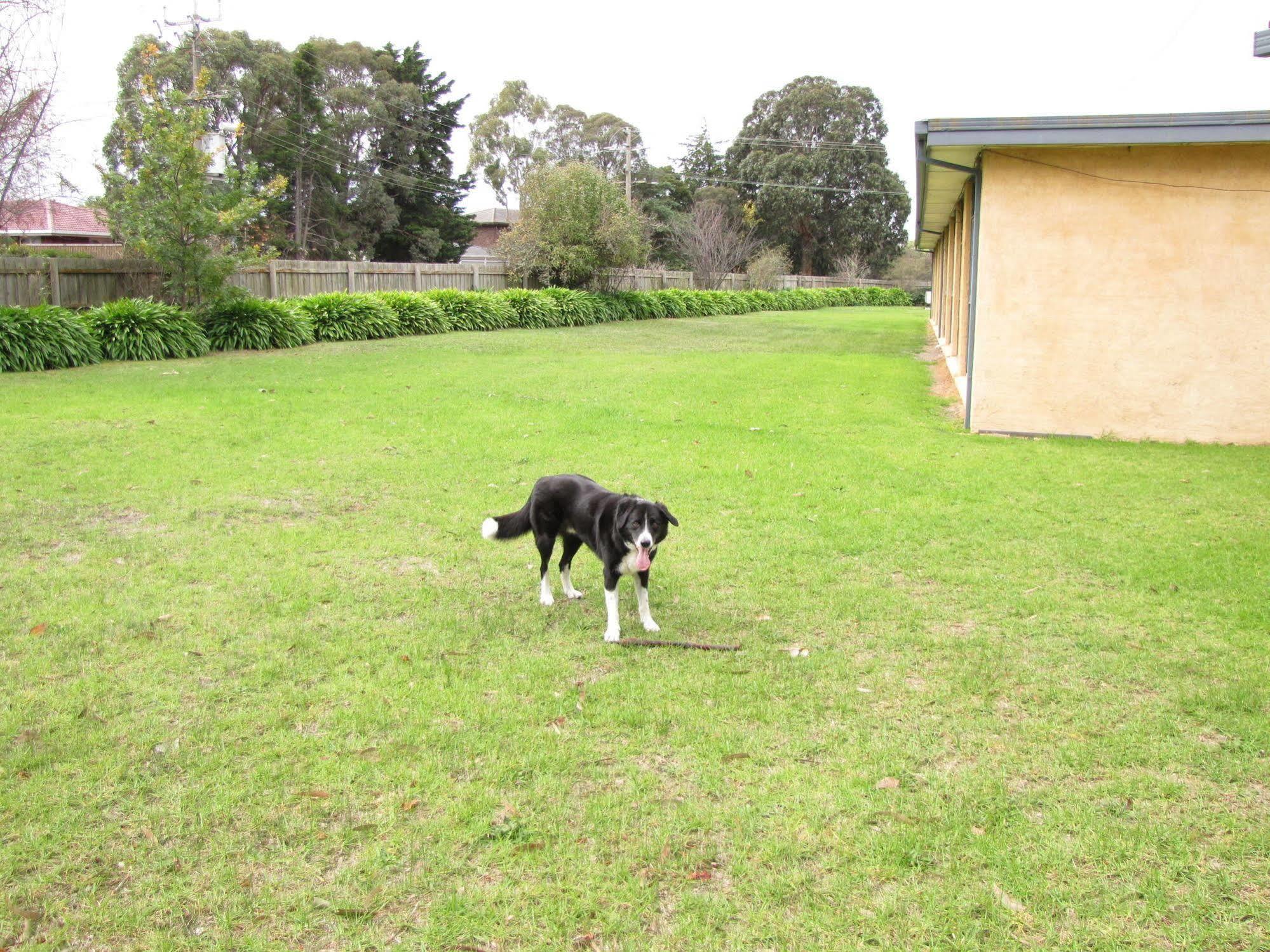 Motel Traralgon Dış mekan fotoğraf